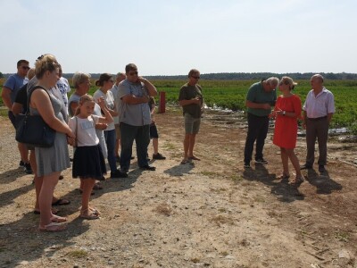 Dan paprike - Šafram