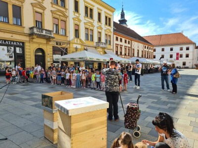 U Varaždinu obilježen Svjetski dan pčele!