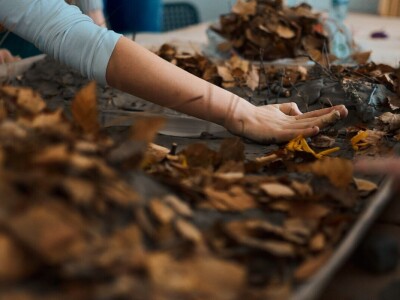 Dan permakulture i tranzicije u Zagrebu