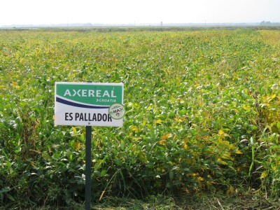 Dan polja Axereal Croatia