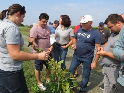 Dan polja Axereal Croatia