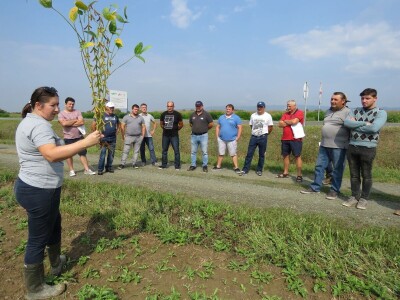 Dan polja Axereal Croatia