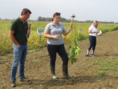 Dan polja Axereal Croatia