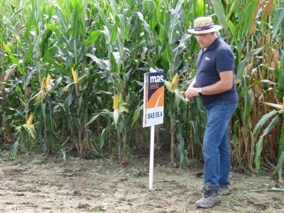 Dan polja Axereal Croatia