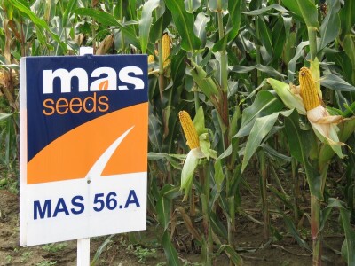 Dan polja Axereal Croatia