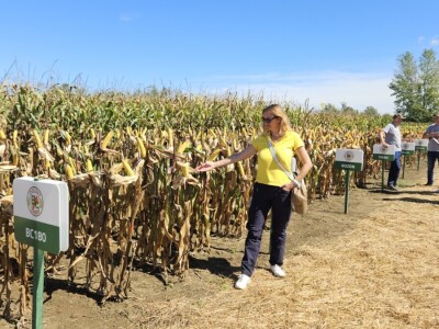 Dan polja BC hibrida kukuruza i suncokreta te sorti soje