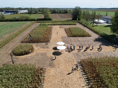 Dan polja BC hibrida kukuruza i suncokreta te sorti soje