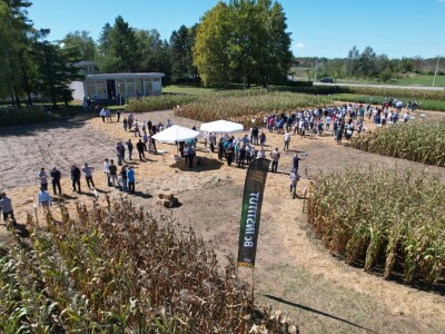 Dan polja BC hibrida kukuruza i suncokreta te sorti soje