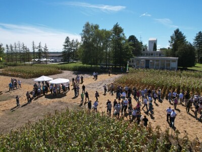 Dan polja BC hibrida kukuruza i suncokreta te sorti soje