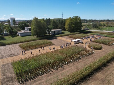 Dan polja BC hibrida kukuruza i suncokreta te sorti soje