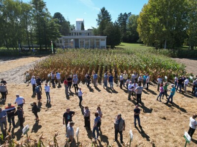 Dan polja BC hibrida kukuruza i suncokreta te sorti soje