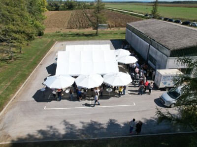 Dan polja BC hibrida kukuruza i suncokreta te sorti soje