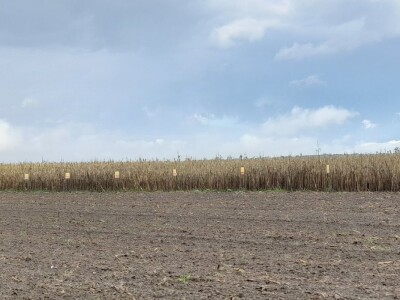 Dan polja BC hibrida kukuruza u Lovasu Dan polja BC hibrida kukuruza u Lovasu