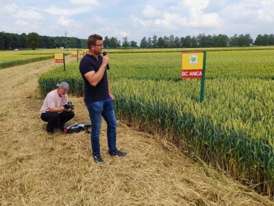 Dan polja BC strnih žitarica u Lovasu