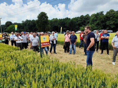 Dan polja BC strnih žitarica u Lovasu