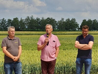 Dan polja BC strnih žitarica u Lovasu