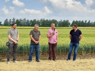 Dan polja BC strnih žitarica u Lovasu