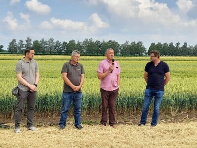 Dan polja BC strnih žitarica u Lovasu