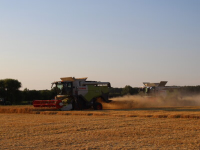 Dan polja HORSCH - CLAAS