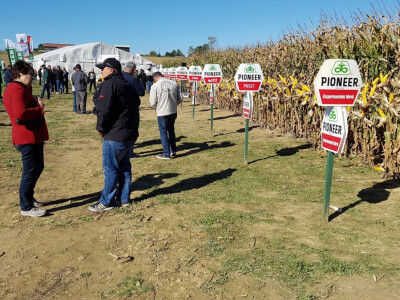 Dan polja Pioneer Križevci