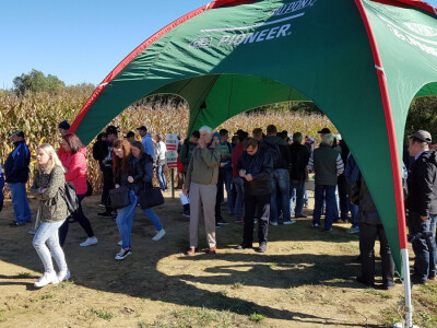 Dan polja Pioneer Križevci