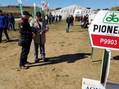 Dan polja Pioneer Križevci