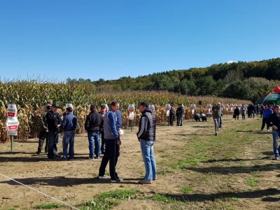 Dan polja Pioneer Križevci