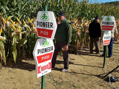 Dan polja Pioneer Križevci