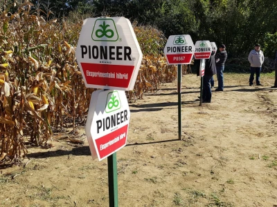 Dan polja Pioneer Križevci