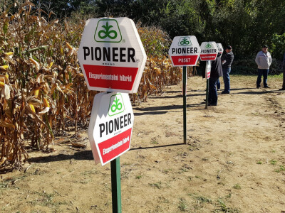 Dan polja Pioneer Križevci