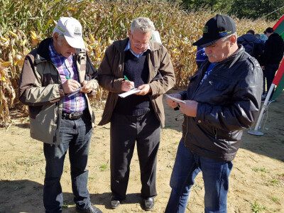 Dan polja Pioneer Križevci