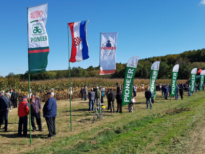 Dan polja Pioneer Križevci