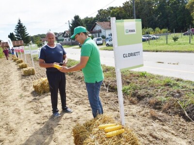 Dan polja kukuruza - Koprivnica