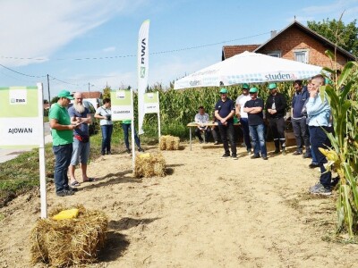 Dan polja kukuruza - Koprivnica