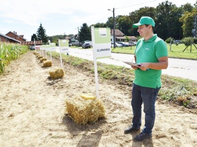 Dan polja kukuruza - Koprivnica
