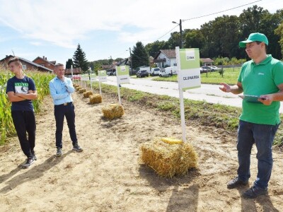Dan polja kukuruza - Koprivnica