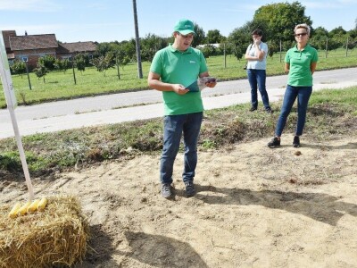 Dan polja kukuruza - Koprivnica