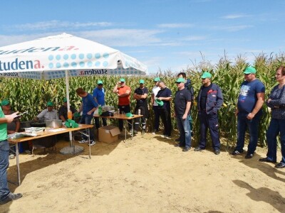 Dan polja kukuruza - Koprivnica
