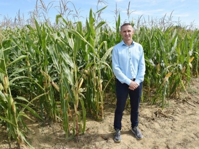 Dan polja kukuruza - Koprivnica