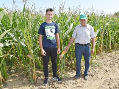 Dan polja kukuruza - Koprivnica