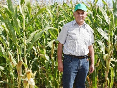 Dan polja kukuruza - Koprivnica