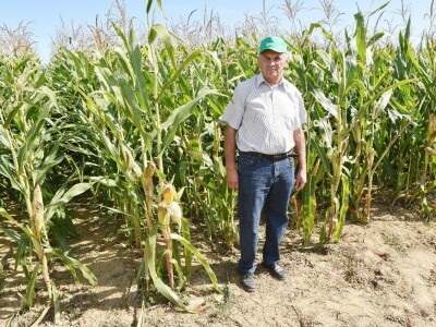 Dan polja kukuruza - Koprivnica