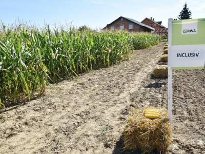 Dan polja kukuruza - Koprivnica