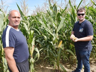 Dan polja kukuruza - Koprivnica