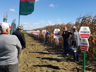 Dan polja kukuruza Pioneer u Španatu