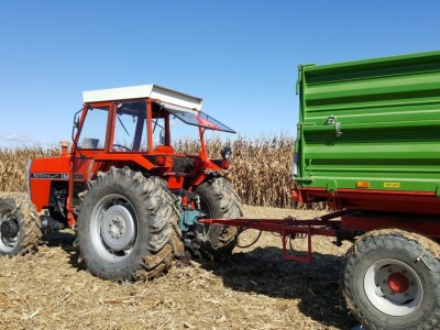 Dan polja kukuruza Pioneer u Španatu