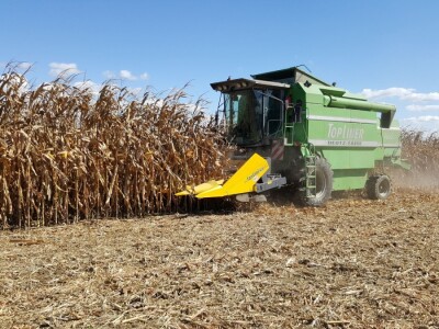 Dan polja kukuruza Pioneer u Španatu