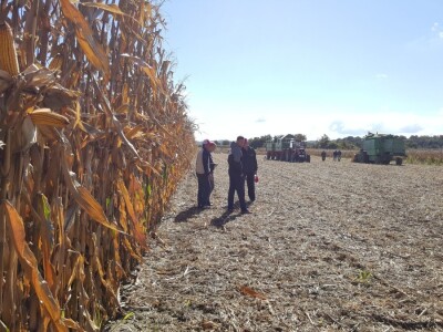 Dan polja kukuruza Pioneer u Španatu