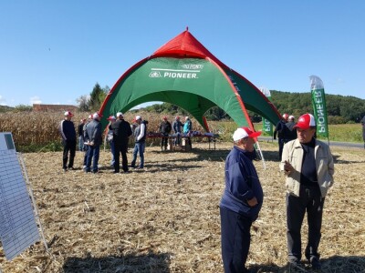 Dan polja kukuruza Pioneer u Španatu