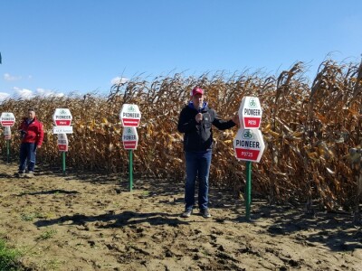 Dan polja kukuruza Pioneer u Španatu